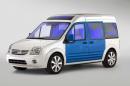 Ford Transit Connect Family One