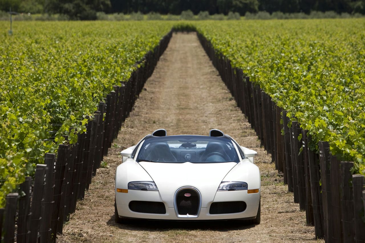 Bugatti Veyron Grand Sport (нови снимки)