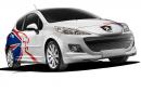 Peugeot 207 S16 – в духа на шампионите