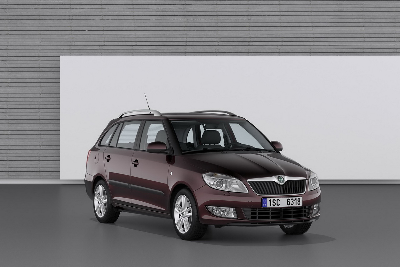 Skoda Fabia и Roomster 2010