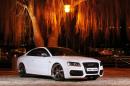 Audi S5 White Beast