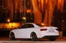 Audi S5 White Beast