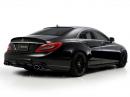 Mercedes CLS Black Bison от Wald International